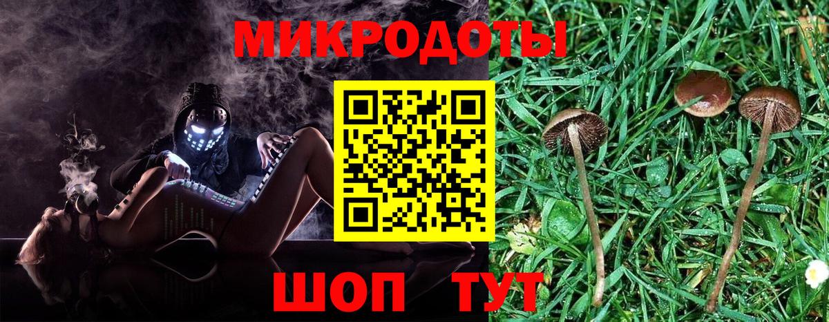 Галлюциногенные грибы Psilocybe  Галлюциногенные грибы мухоморы  Черногорск  Вход с VPN 
