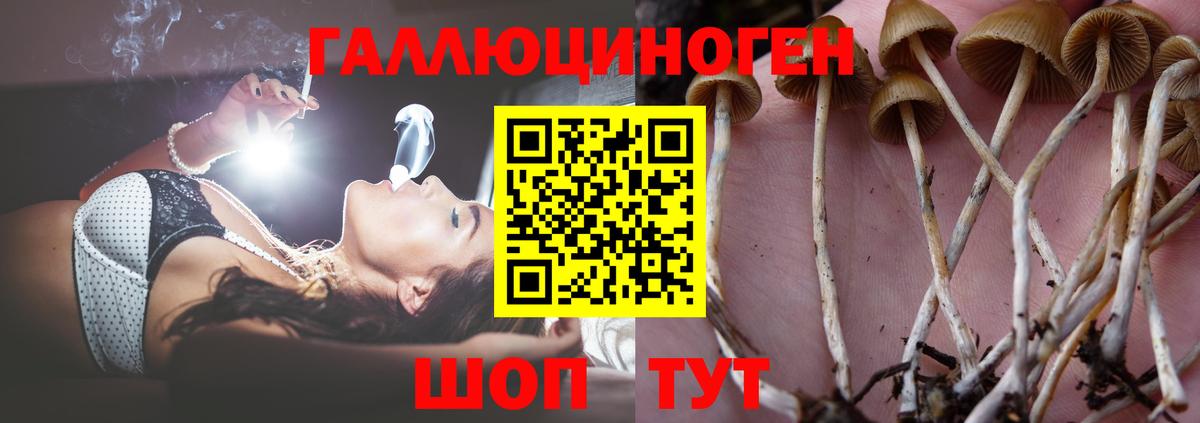 Псилоцибиновые грибы MAGIC MUSHROOMS Черногорск